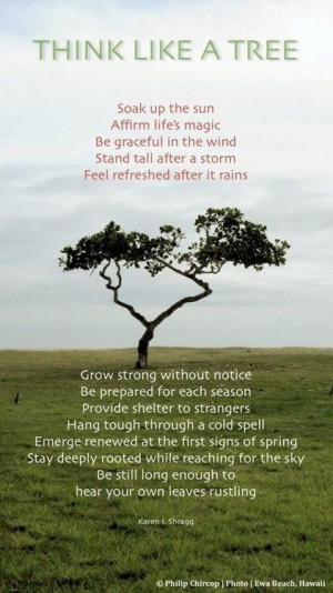 Tree of Life...