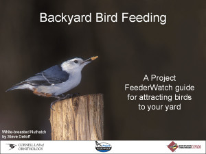 Lol Fed Birds Minds Feeding