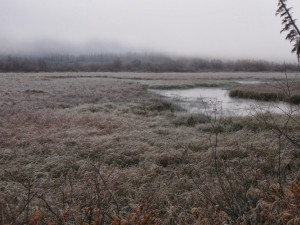 Our Little Cabin The Lake