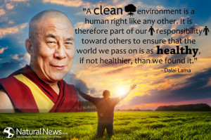 clean environment is a human right like any other. It is therefore ...
