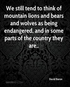 We still tend to think of mountain lions and bears and wolves as being ...
