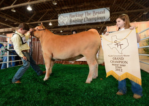 Livestock Show - State Fair of Texas 2012