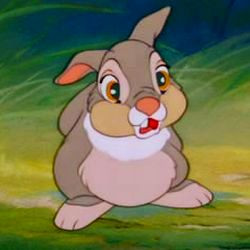 Thumper Rabbit