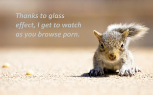 squirrels hd wallpapers tags quotes squirrels description quotes ...