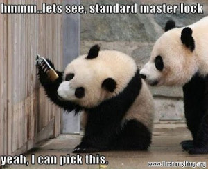 funny panda quotes funny panda quotes funny panda quotes