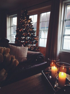 Cozy Christmas Home