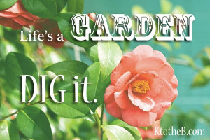 Life's a Garden, DIG it.
