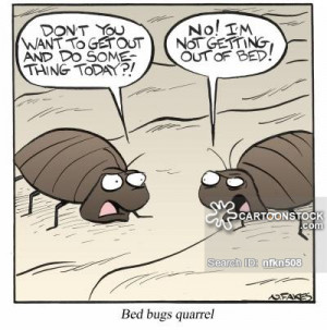 animals-bedbug-bed_bug-bed_bug-quarrel-laziness-nfkn508l.jpg