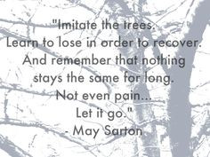 may sarton more quotes 3 life quotesth wisdom quotes trees inspiration ...
