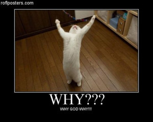 But today I found myself asking, 