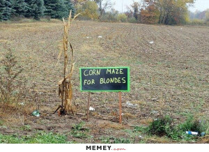 corn maze for blondes funny blondes mazes