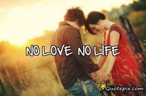 No Love No Life