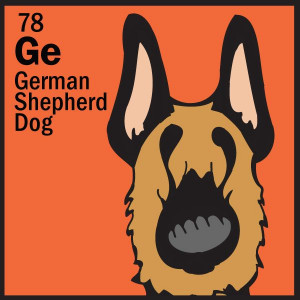 Best in Breed - Herding Group - Captain Crunch the German shepherd ...