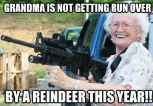Grandma Is Not Getting Run Over This Year - christmas pictures ...