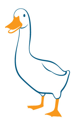Aflac Duck Cartoon