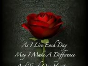 Red Rose Quote Pictures