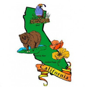 California State Flower The