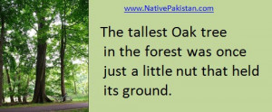 Best Quotes in English: The tallest Oak tree in the Forest... - Pearls ...
