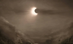 ๑The Realm of Awakened Vibrations ๑