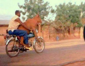 Amazing funny pictures of Pakistan Wallpaper Photos Pictures Pics ...