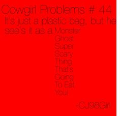 Cowgirl Problems # 44