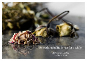 Quote: Philip K. Dick
