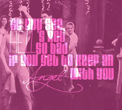 Twilight Series Twilight Romance Quotes