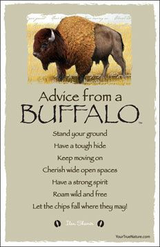 advice from a buffalo more posters quotes spirit guide buffalo ...
