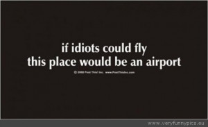 quotes about idiots at work