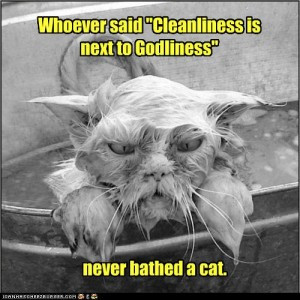 Cleanliness Quotes In The Bible