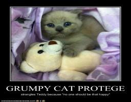 Grumpy Cat Takes A Protege Funny Little Kitty Picture