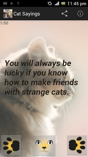 Related Pictures Cat Quotes Funny Clip Art Picture Ments Page