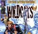 Divine Intervention: Wildcats Vol 1 1