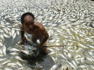 china-to-spend-330-billion-in-attempt-to-clean-polluted-water.jpg