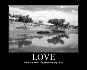 Love the essence of life the meaning of all love quote