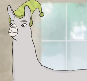 Carl The Llama On Tumblr Picture