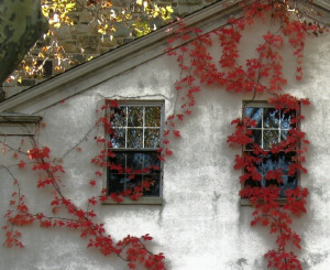 We have all heard them before. Urban legends of scary things that go ...