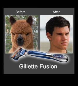 ... fusion before and after funny pictures funny images funny quotes