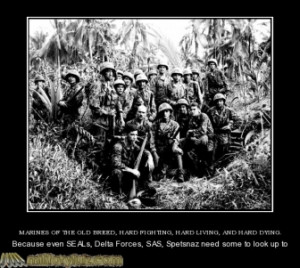 marines-the-old-breed-hard-fighting-living-and-dying-marines-military ...