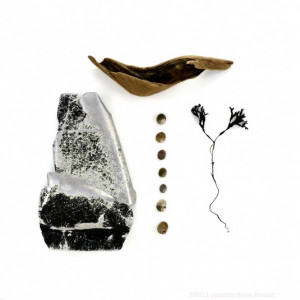 Beachcombing series No.22 - 12 x 12 photograph - driftwood, seaweed ...