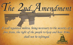 ... to own assault weapons are self-defense and defense against tyranny