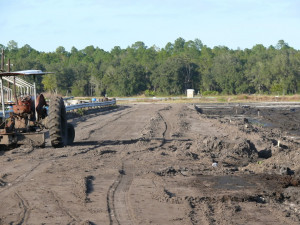 ... mud bogging quotes displaying 18 images for mud bogging quotes toolbar