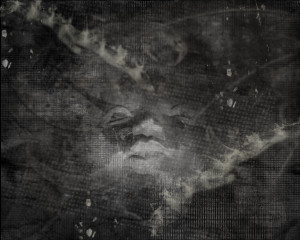 Freak Out Quotes and Sound Clips