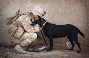 Cpl. Kyle Click, a dog handler with 3rd Platoon, Kilo Company, 3rd ...