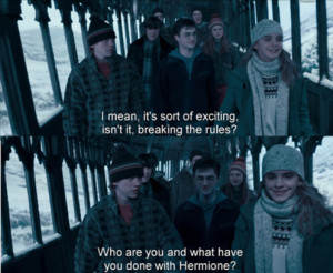 Related Pictures hermione granger quotes funny 4865644945673032 jpg ...