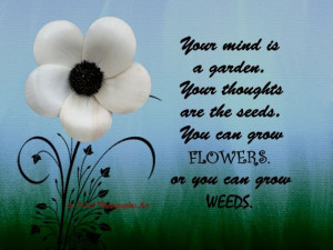 Your Mind is a Garden Quote Floral Typography Matted Picture Art Print ...