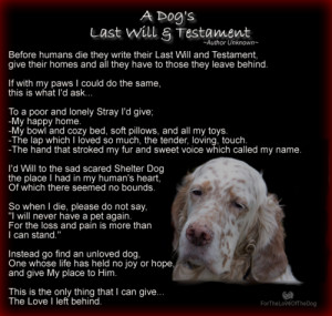 dogs last will and testament poster