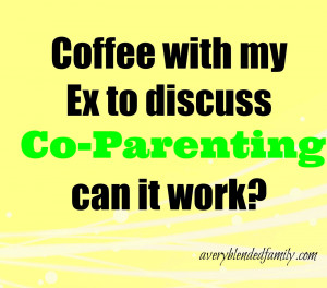 stories of where ex partners have successfullynegotiated the parenting ...