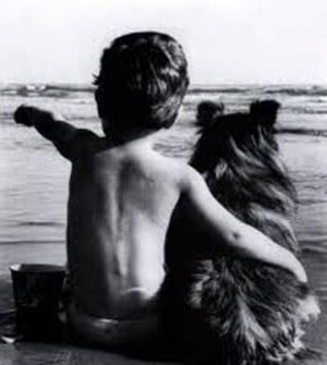 Beautiful pictures of the human/animal bond