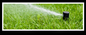 Garden Water Sprinkler System